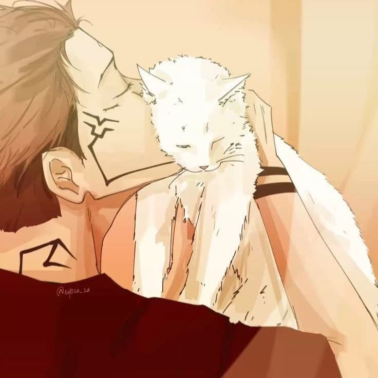 You are Sukuna's cat😍 thumbnail