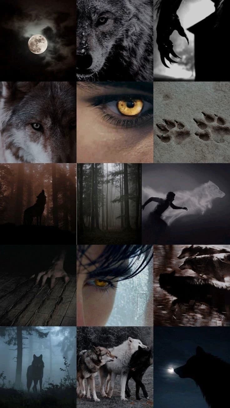 Kylan Blackthorne thumbnail