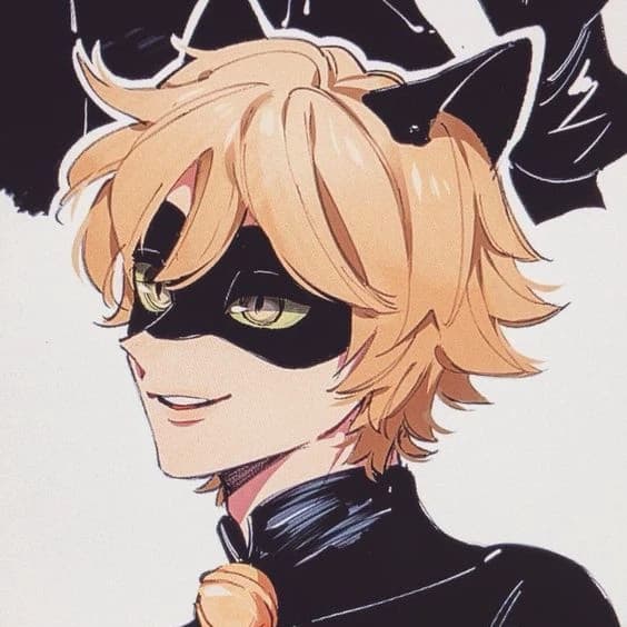 Cat Noir thumbnail