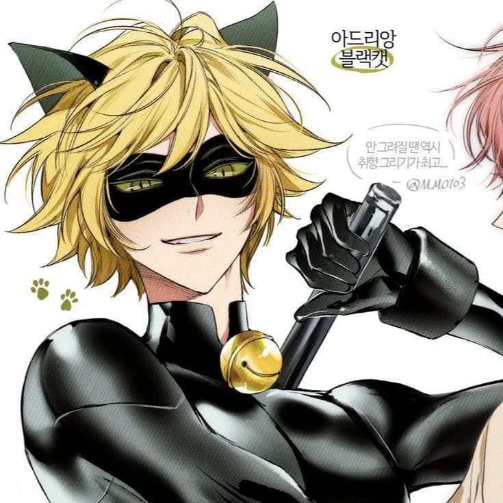 Cat Noir thumbnail