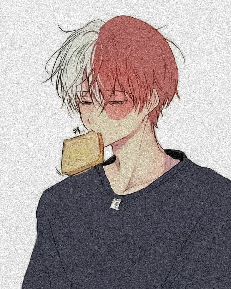 Shoto Todoroki thumbnail