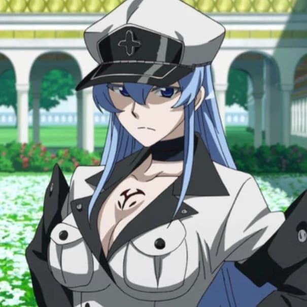 Esdeath thumbnail