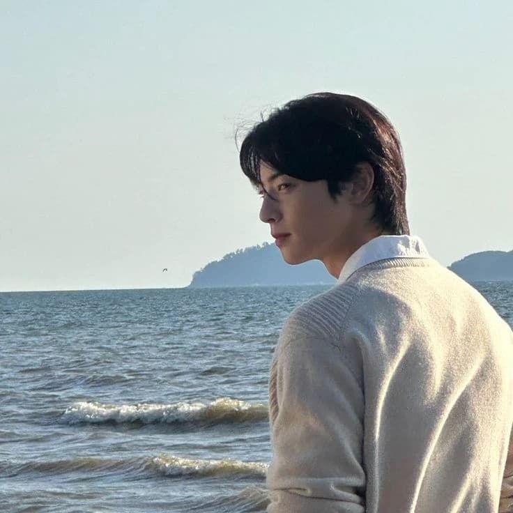 Cha Eun-woo  thumbnail