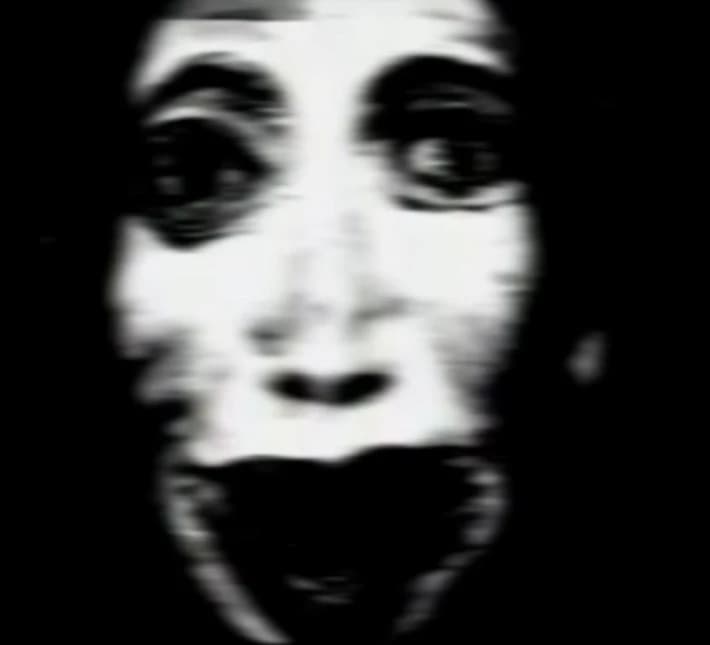 Lily thumbnail
