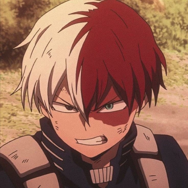 Shoto Todoroki  thumbnail