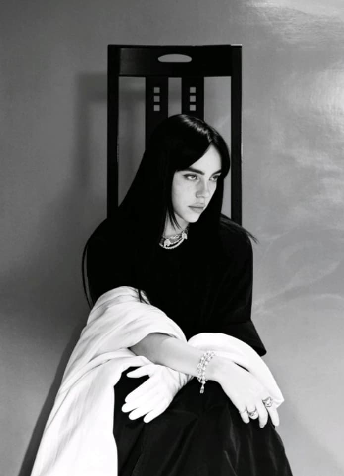 ⊹ ₊ ہ. billie eilish thumbnail