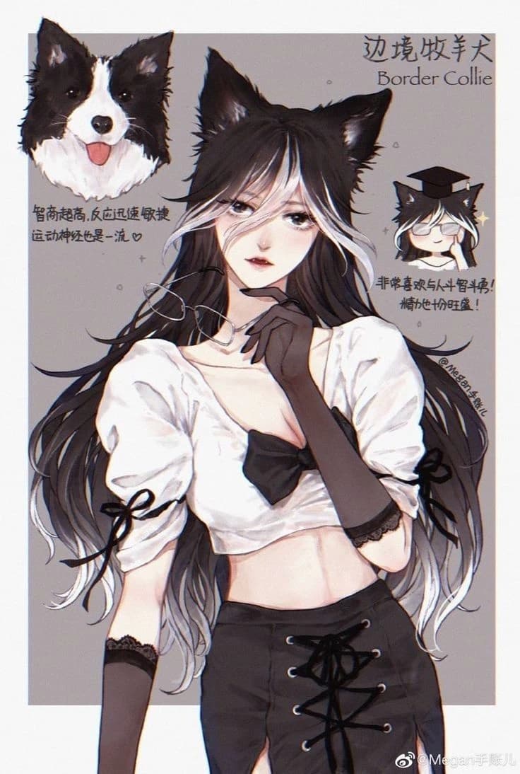 You're a hybrid dog thumbnail