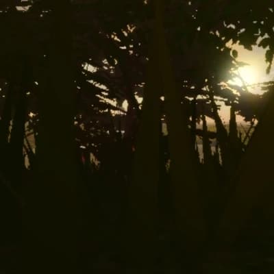 Create your story, but with zombie apocalypse  thumbnail
