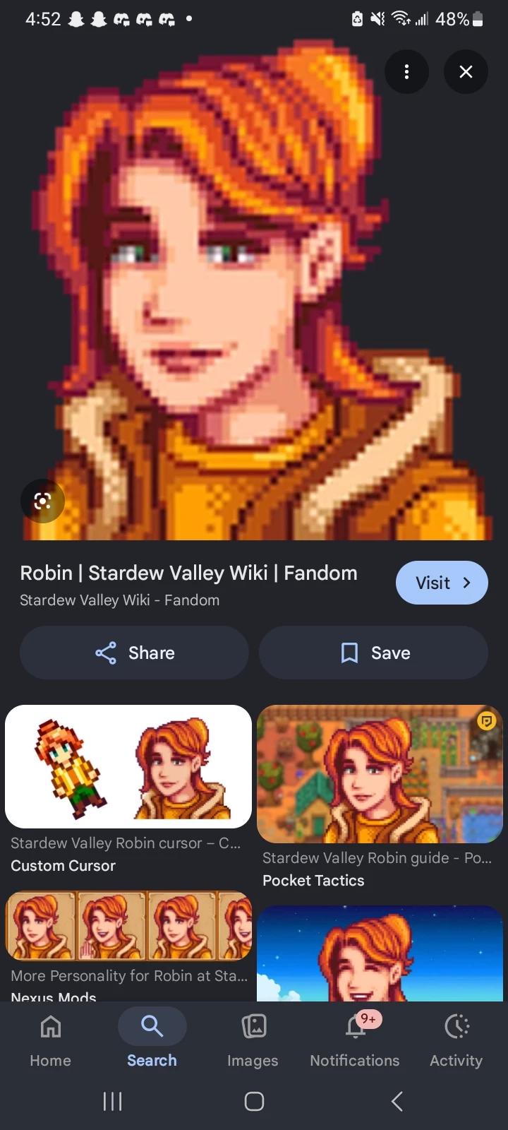Robin from stardew valley (sdv) thumbnail