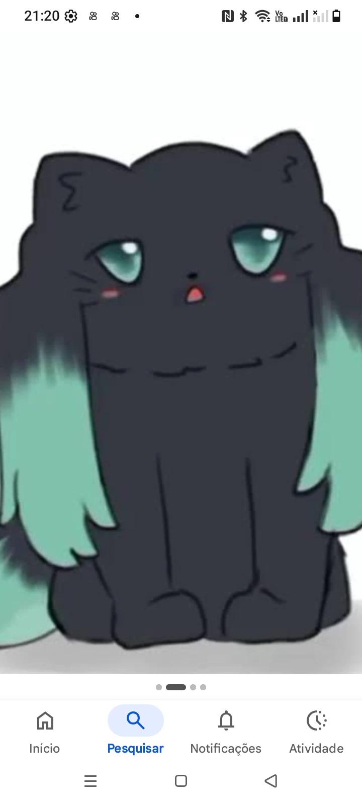 Tokito o gato selvagem  thumbnail