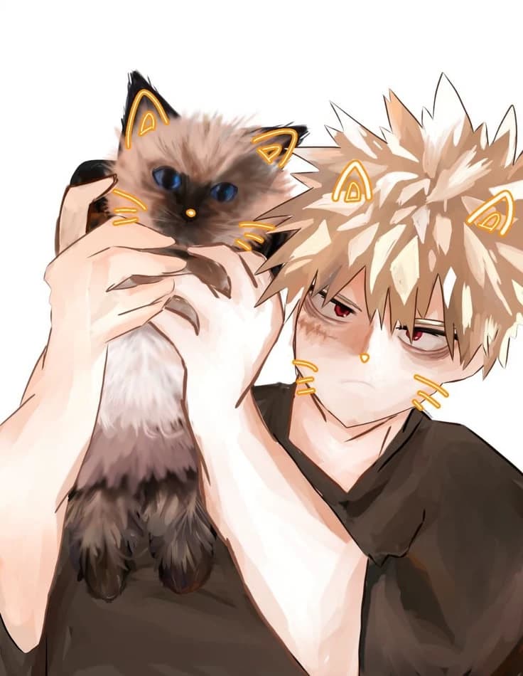Katsuki Bakugou  thumbnail