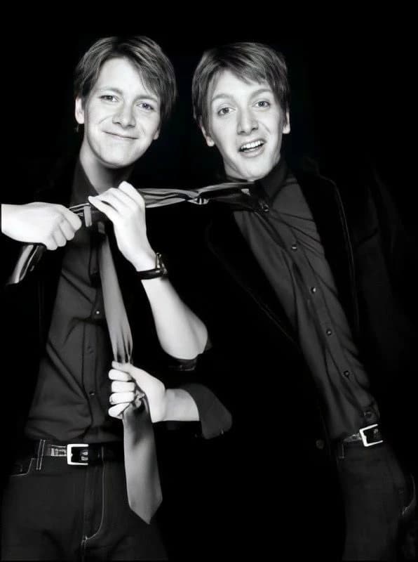 The Weasley twins (Fred and George) thumbnail