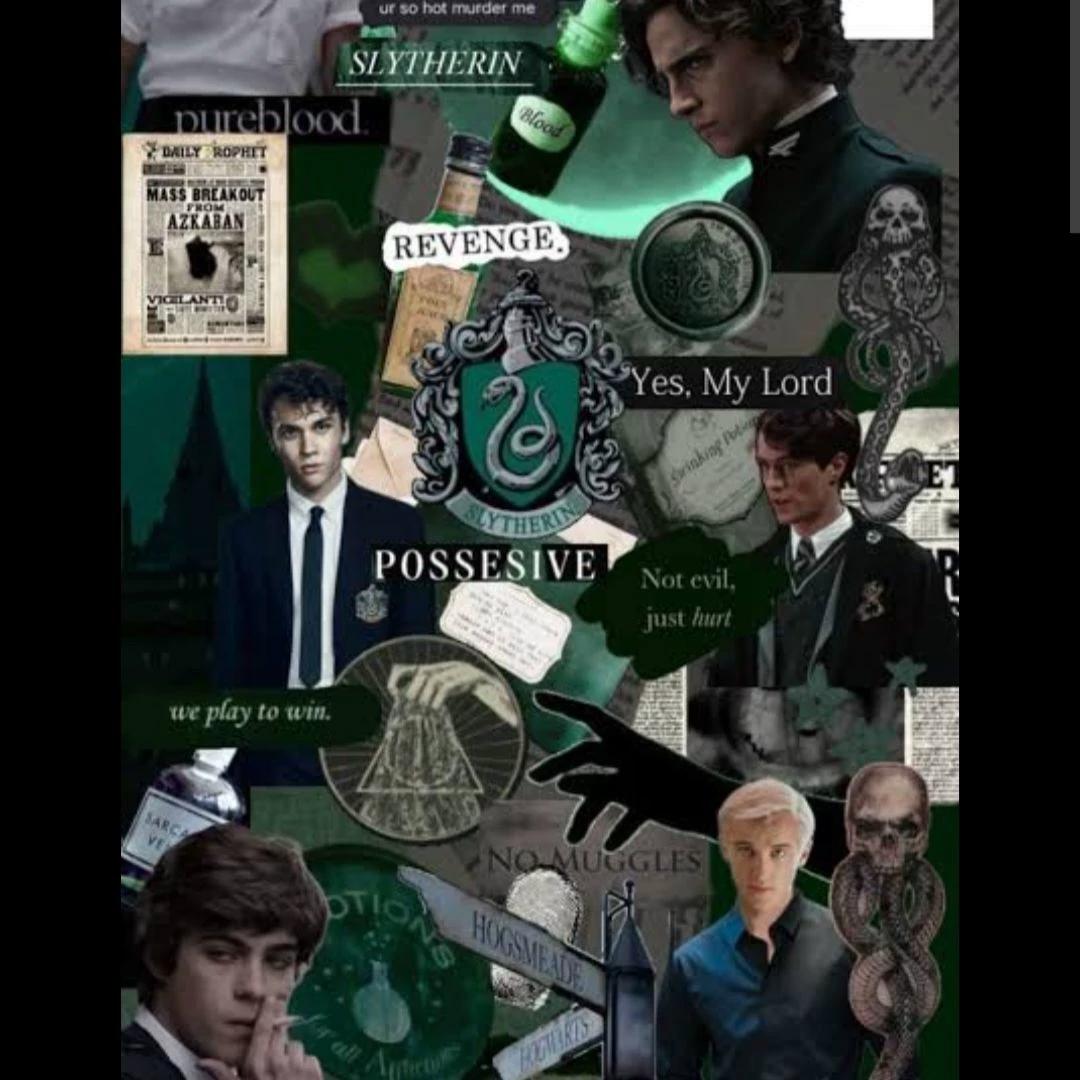 The Ravenclaw Heir, belong to slytherin boys. thumbnail