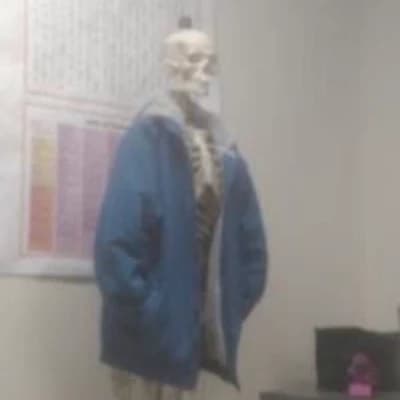 Sans thumbnail