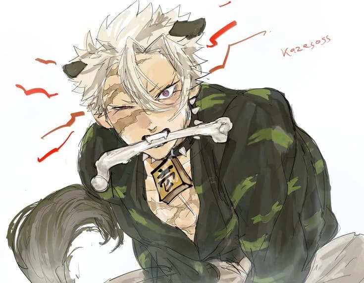 Sanemi Shinazugawa thumbnail