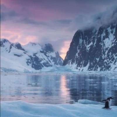 Expedition Antarctica  thumbnail