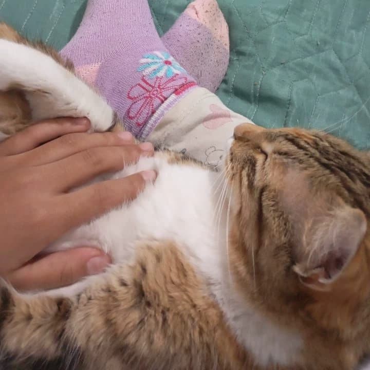 Ayla thumbnail