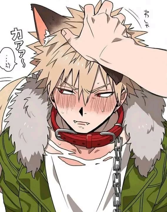 bakugou katzuki you heavenly animal that loves you thumbnail