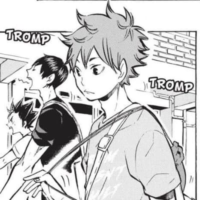 Shoyo Hinata thumbnail