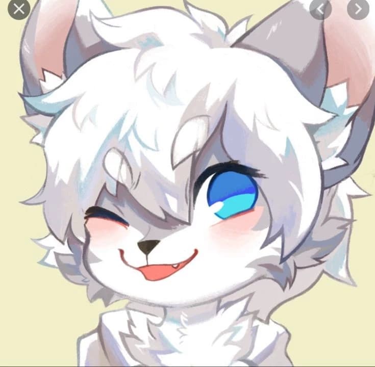 homeless furry  thumbnail
