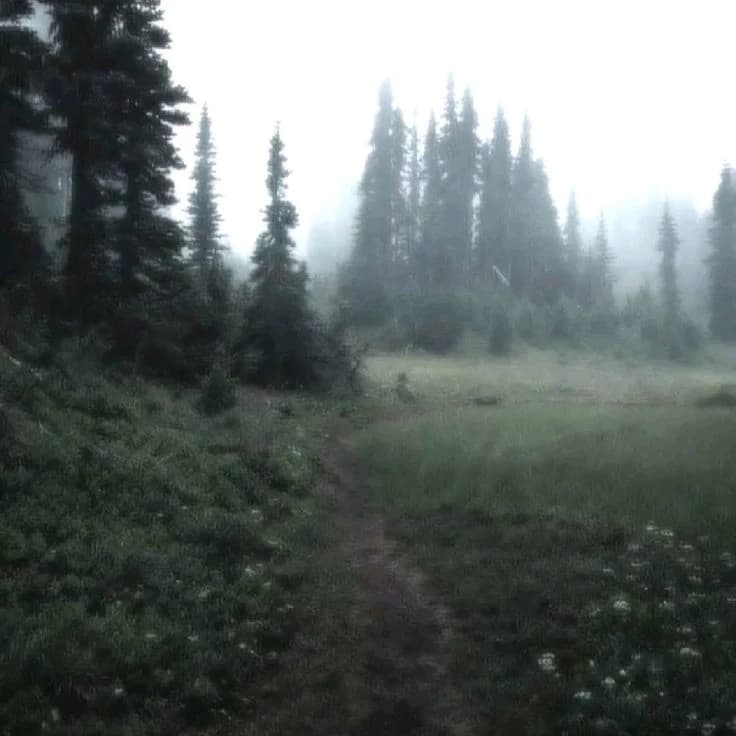 Camping thumbnail