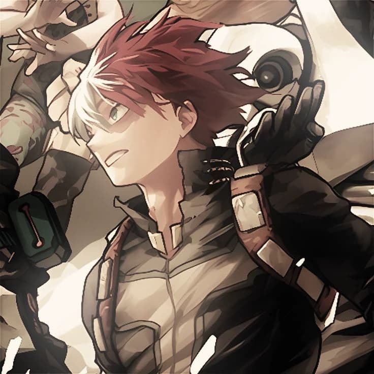Shoto Todoroki  thumbnail