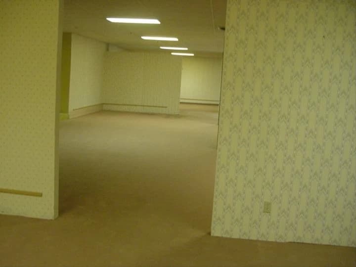 The Backrooms  thumbnail