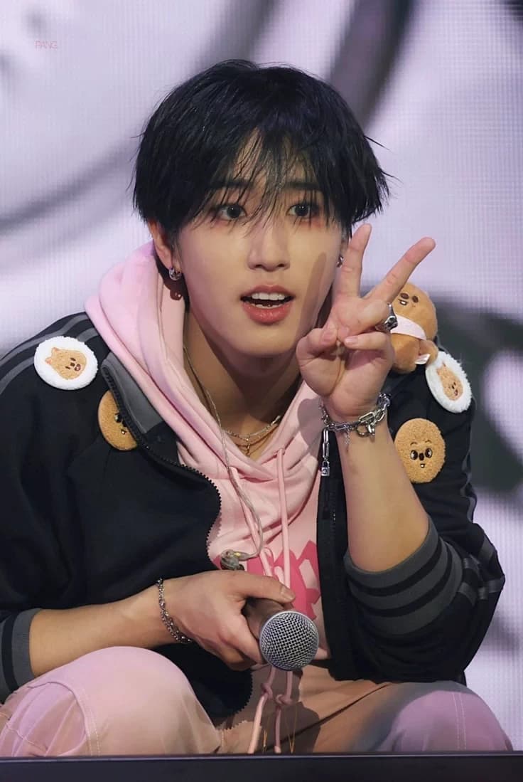 Han Jisung  thumbnail