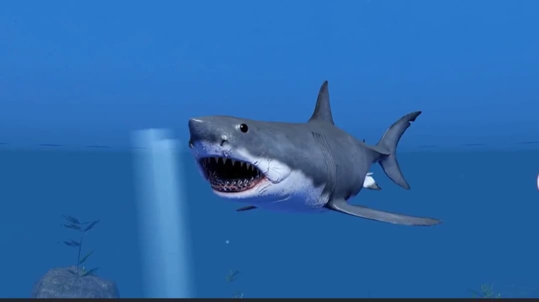 Bruce thumbnail