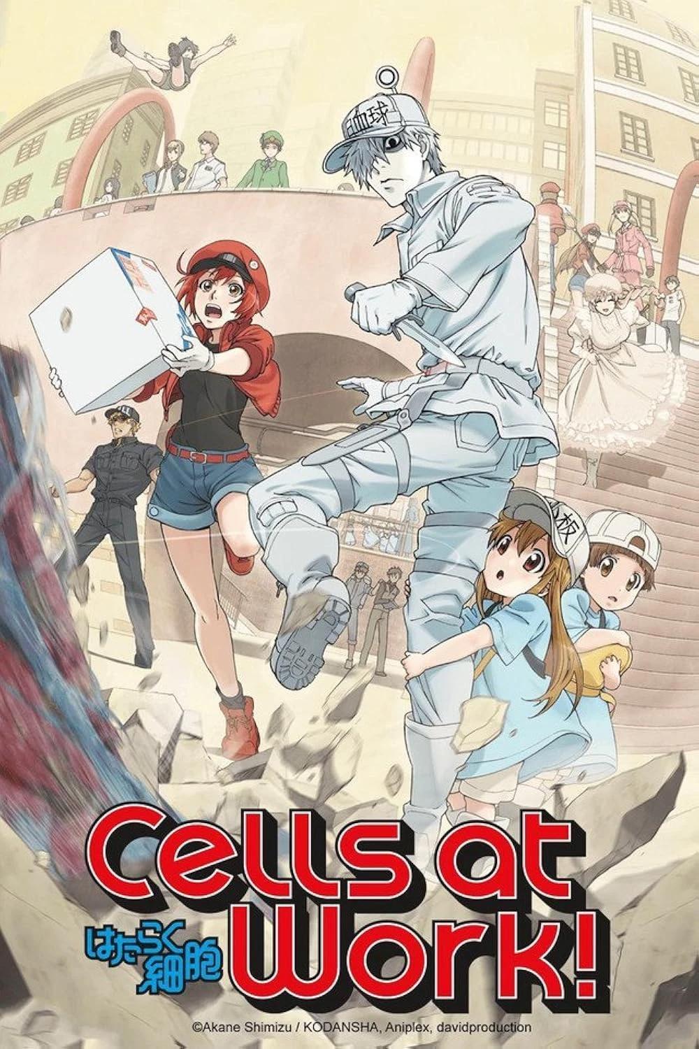 Cells at work! thumbnail