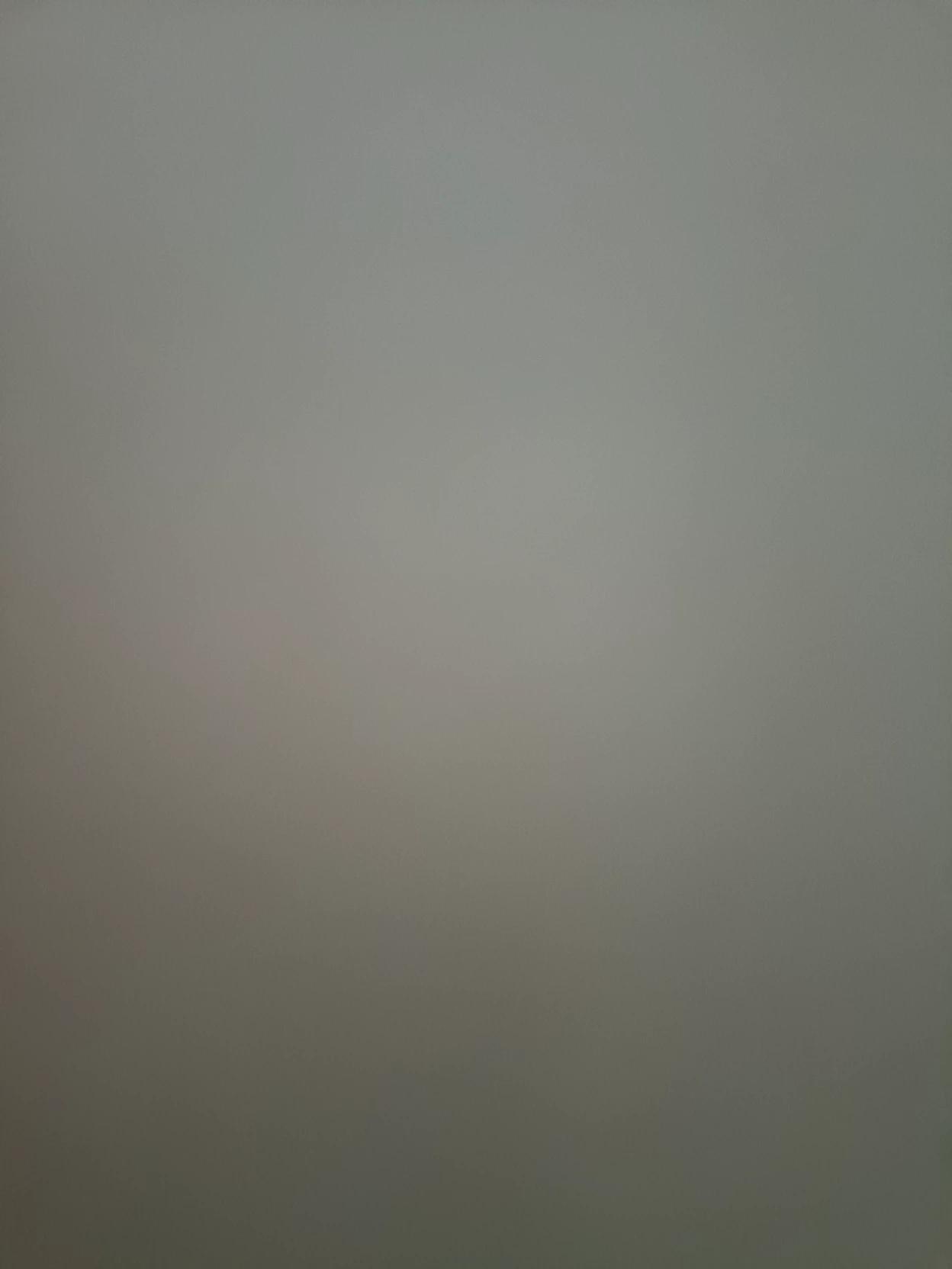 Bear thumbnail