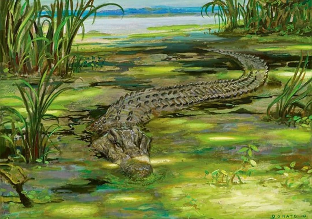 ☆_Crocodile_☆ thumbnail