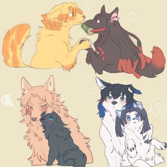 KNY DOG thumbnail