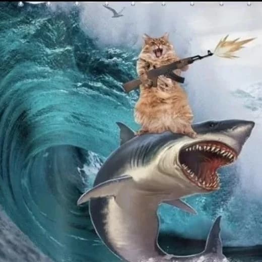 XD thumbnail