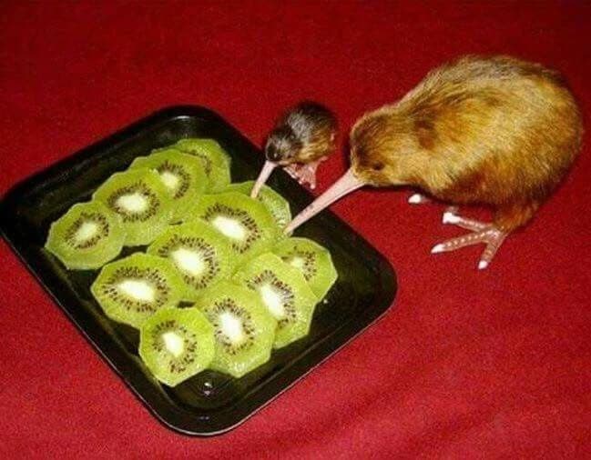 Kiwi thumbnail