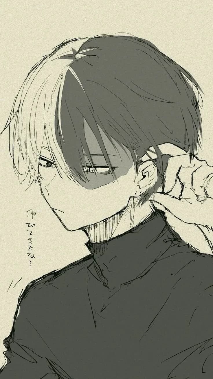 Shoto Todoroki thumbnail