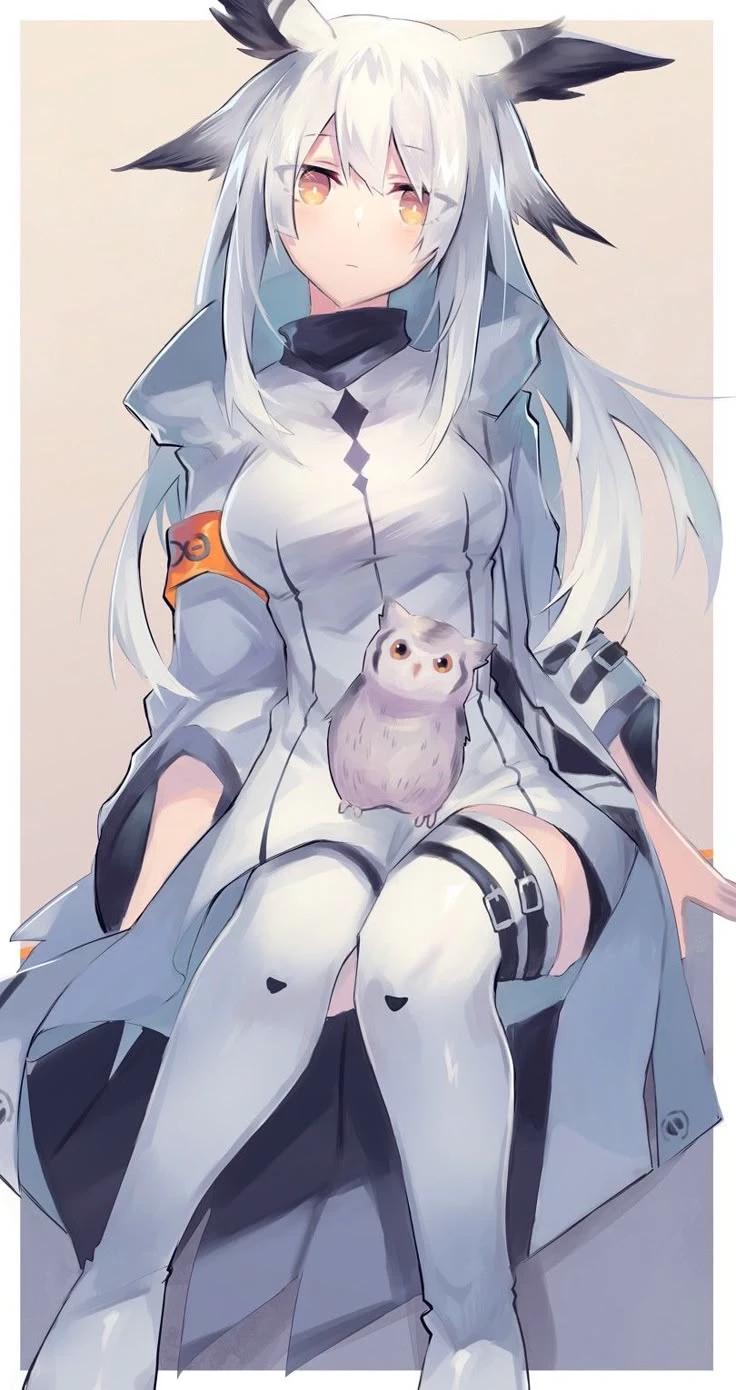 Ptilopsis (Arknights) thumbnail
