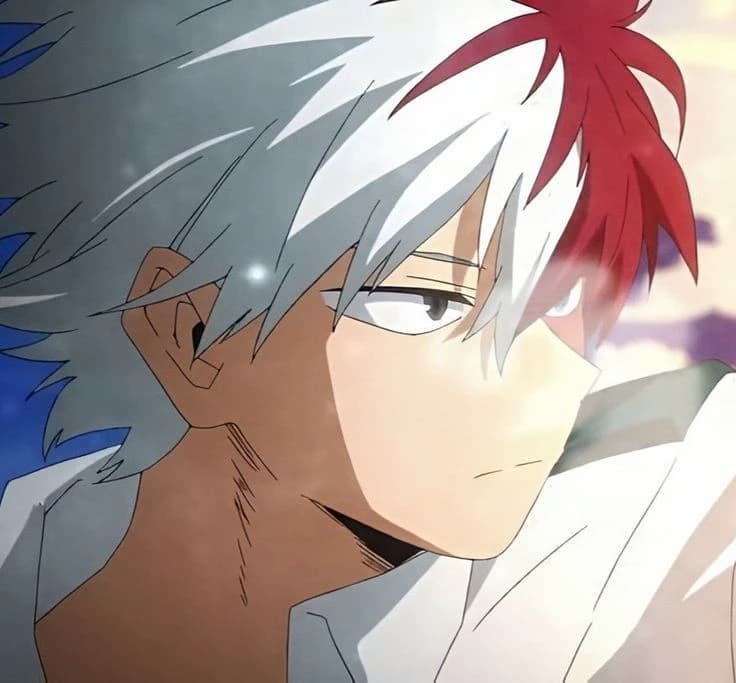 Todoroki Shoto thumbnail