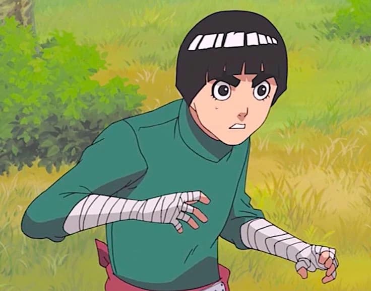 rock lee thumbnail