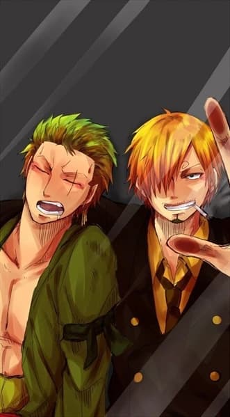 Sanji and Zoro thumbnail