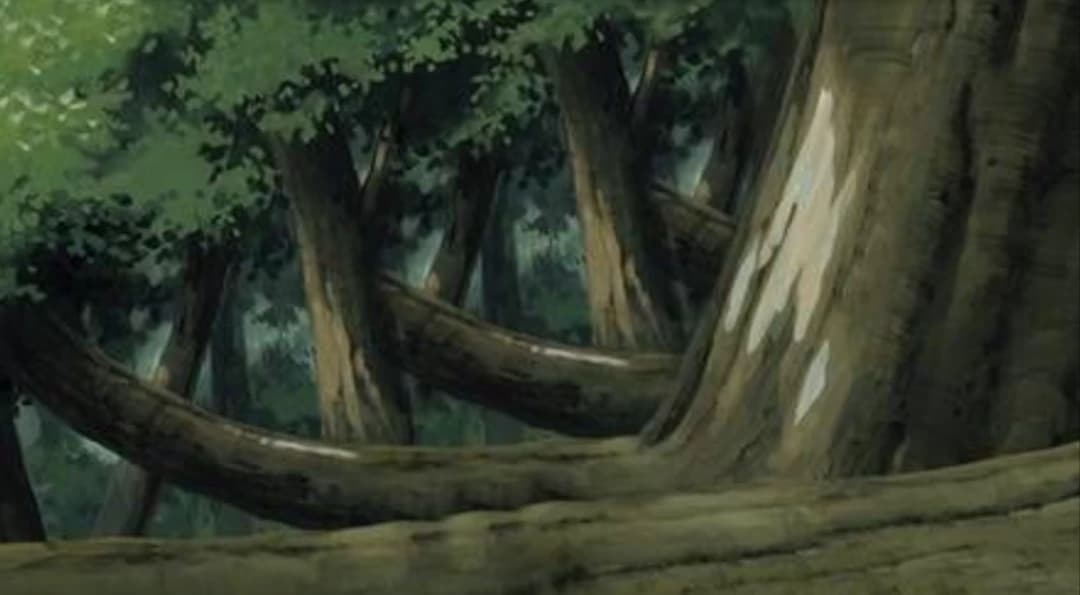 Naruto chunin exams forest of death thumbnail