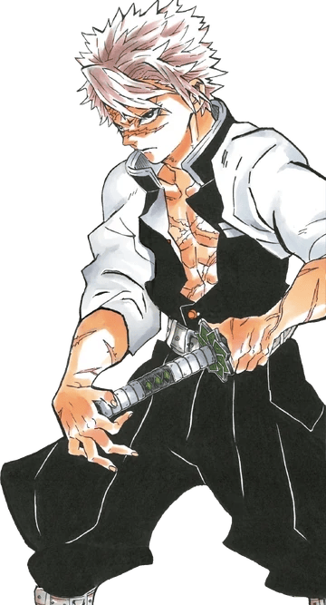 Shinazugawa Sanemi thumbnail