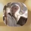 Адам thumbnail