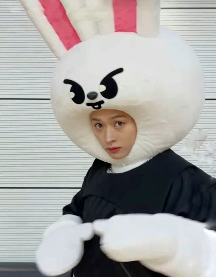 Lee Know thumbnail