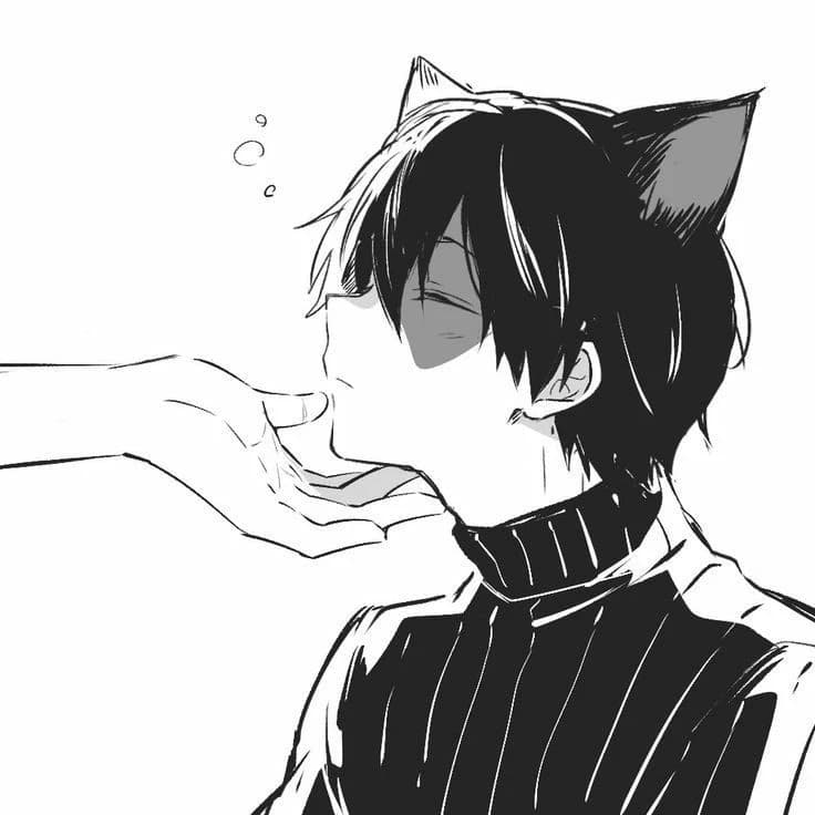 Todoroki thumbnail