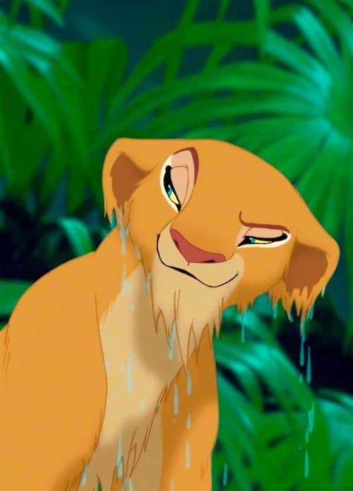 Nala thumbnail