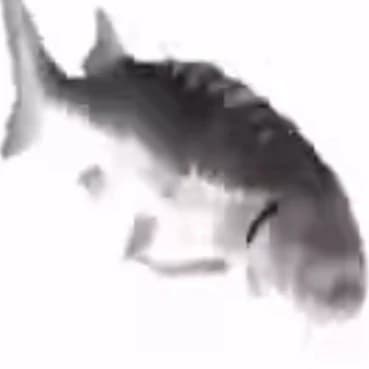 Finnegan "Finny" Gillsbottom thumbnail