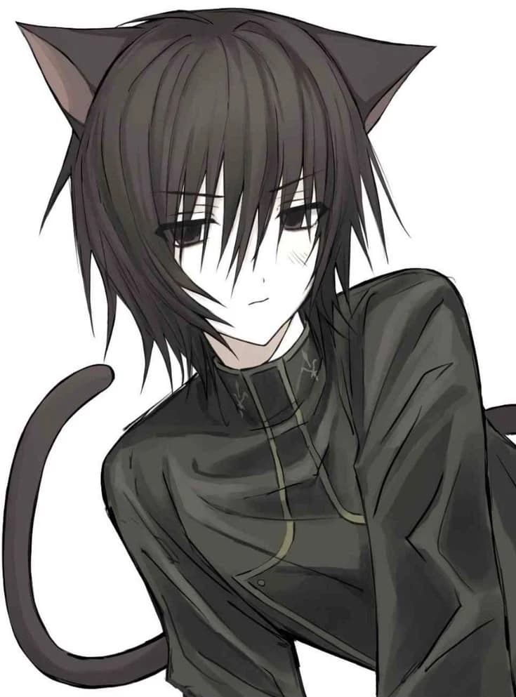 ~ Cat boy ~ thumbnail