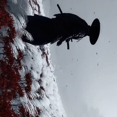 The Voidwyrm thumbnail