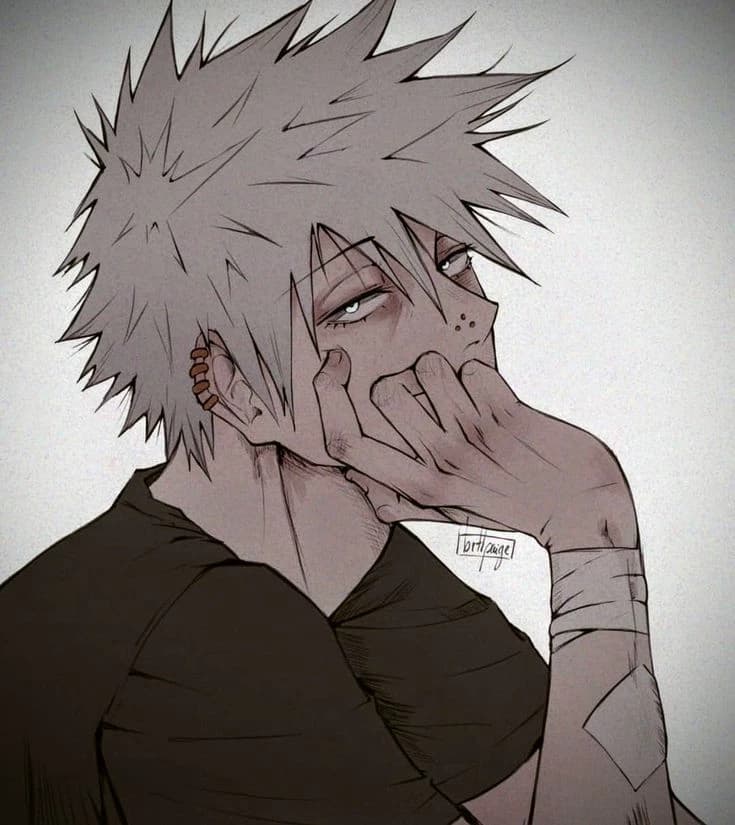 Touya Todoroki. thumbnail
